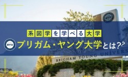 系図学を学べる大学｜ブリガム・ヤング大学とは？