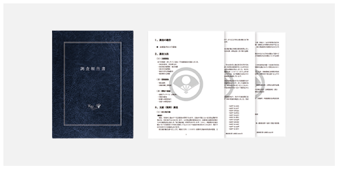 家系調査報告書