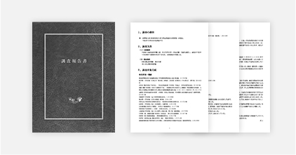 調査報告書