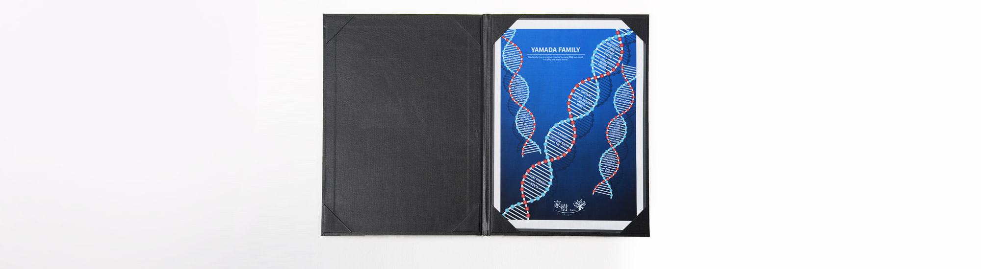 ＤＮＡ