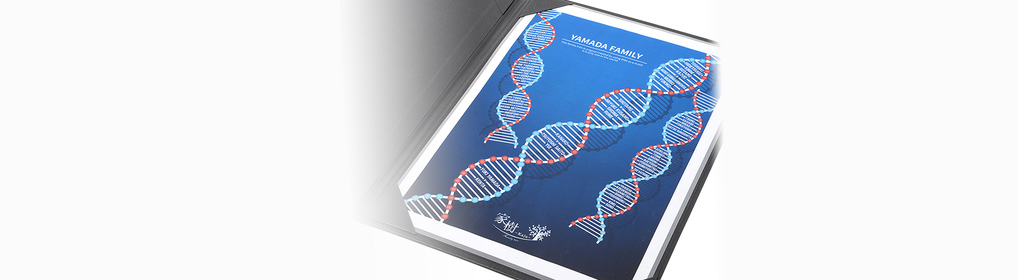 ＤＮＡ