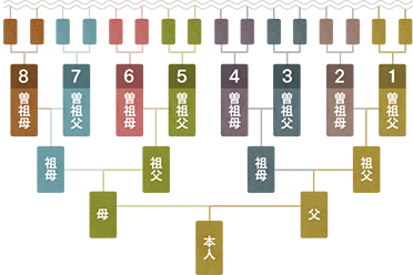 全家系