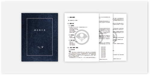 家系調査報告書