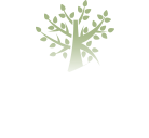 ニュース＆メディア