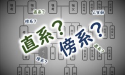 直系と傍系の違いとは？プロが図解で説明します！