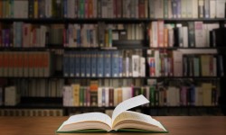 戸籍の編制とは？どんな原因で編制されるのか解説します。
