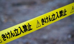 先祖がすごい有名人と言われていたら家系図を作る際に要注意！