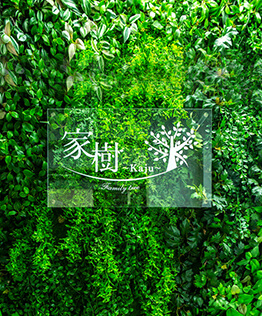 家樹